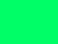 Zoom Green Screen