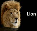 Mac OS X Lion